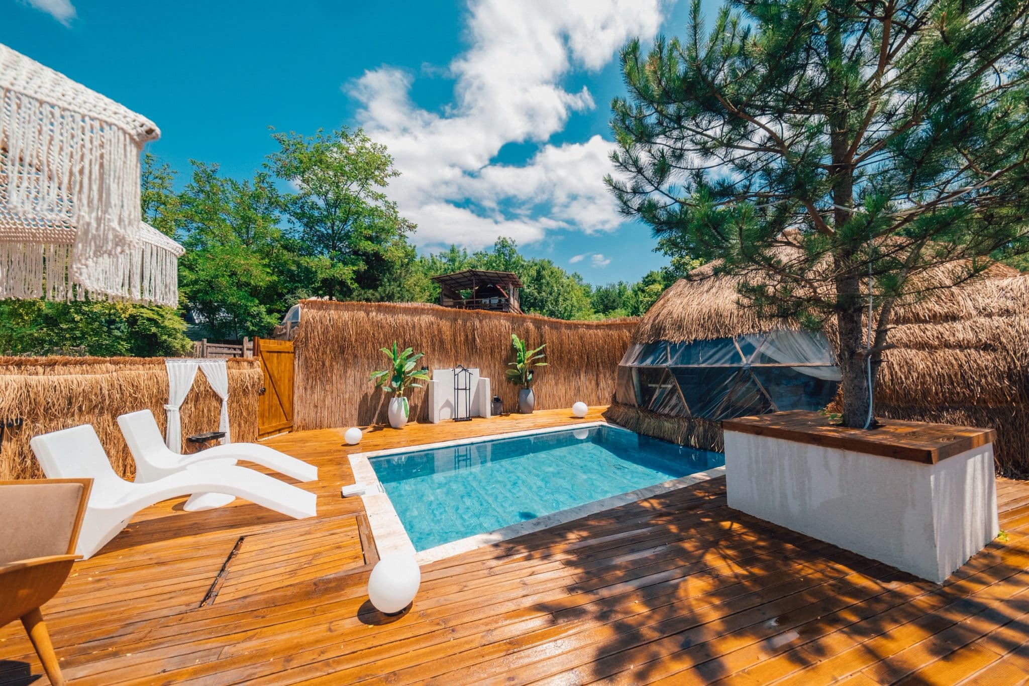 Dome Glamping fotoğrafı 9